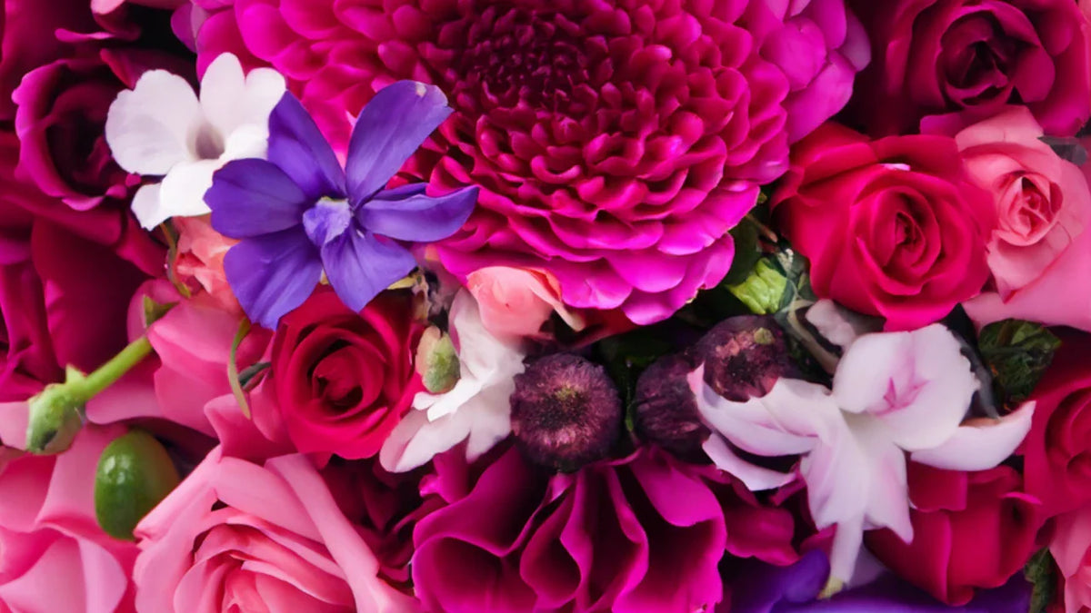 Flores para cada ocasión: Aniversarios, cumpleaños y más