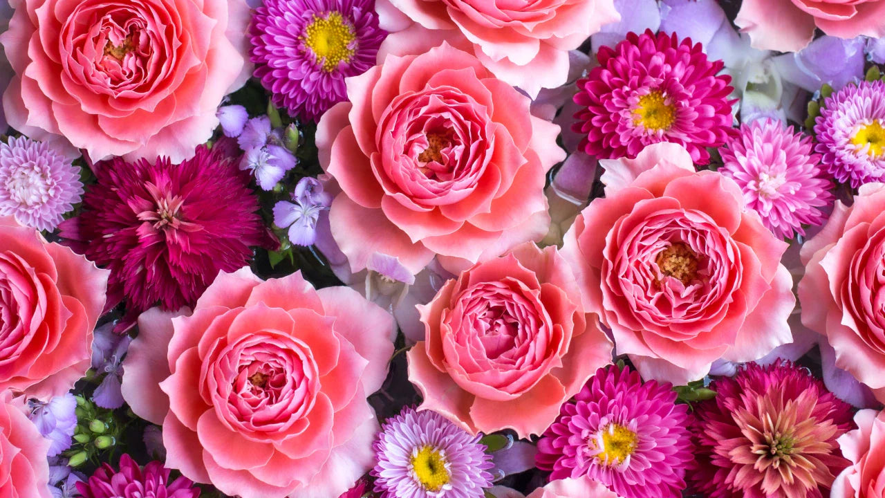 Conoce tus flores: Una guía práctica para regalar con intención