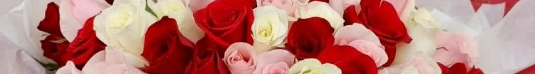 Productos Adicionales