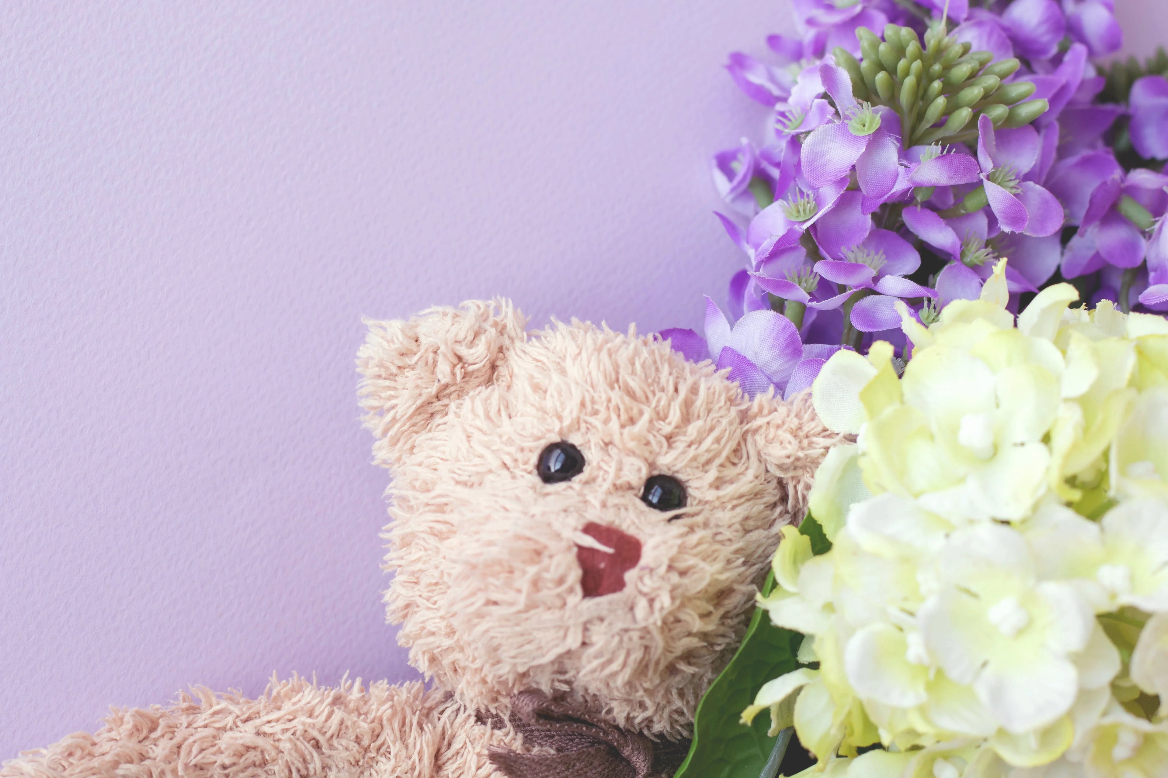 Con Peluches | Panamá