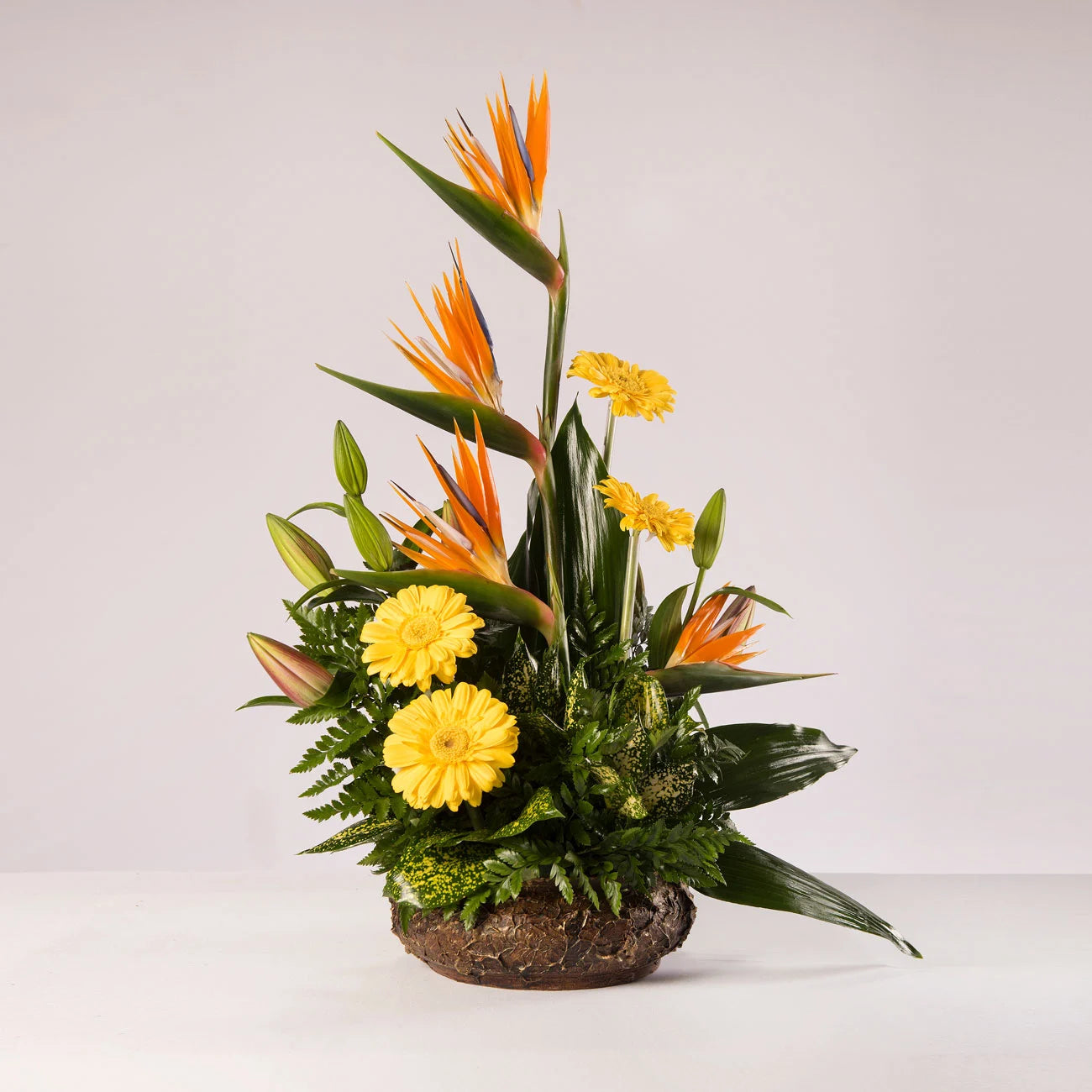 Arreglo de flores del paraíso, con gerberas amarillas sobre una base de cerámica, acompañado de follaje verde.