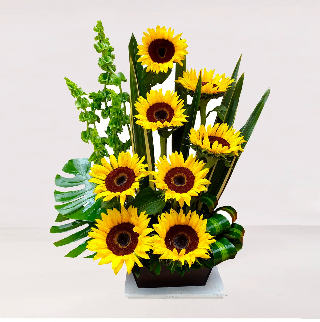 Girasoles impresionantes